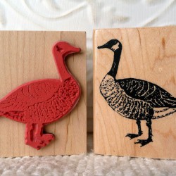 Lovey Doves Rubber Stamp