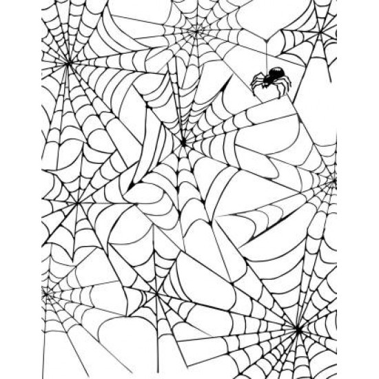 Spider Web Background Rubber Stamp from The Old Island Stamp Company